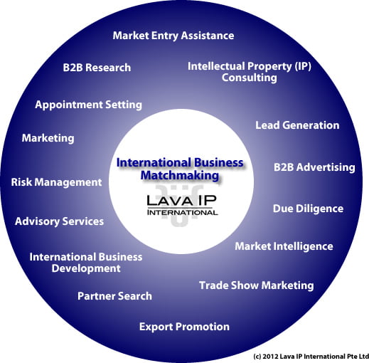 Lava IP B2B Services Mix