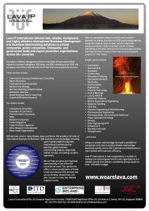 Lava IP International Brochure 2015